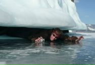 Фотография Демьянова Ольга