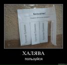 Александр Касапенко фотография #20 (источник - https://vk.com/id10534896)