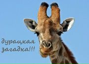 Фотография Файзуллиной Динары