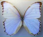 Фотография Шляпиной Марины