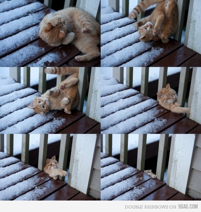 Иван Иванов фотография #23