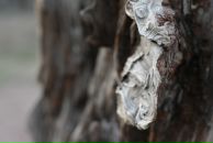 Maxim Timofeev фотография #29 (источник - https://vk.com/id148605)