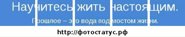 Віктор Венгриновський фотография #35 (источник - https://vk.com/id70276041)