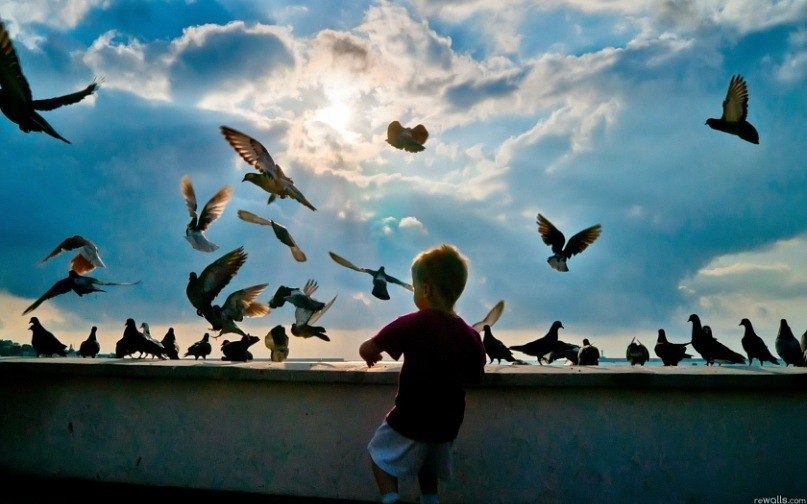 Sorry Closed фотография #27