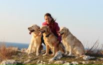 Фотография Рудомётов Игорёха