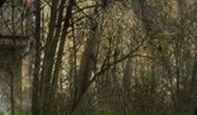 Вася Петя фотография #16 (источник - https://vk.com/id29331749)