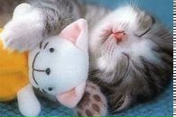 Наталі Плахотнік фотография #5 (источник - https://vk.com/id120307276)