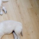 Міша-Іра Павлик фотография #18 (источник - https://vk.com/id42441609)