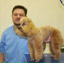 Фотография Андреева Андрея