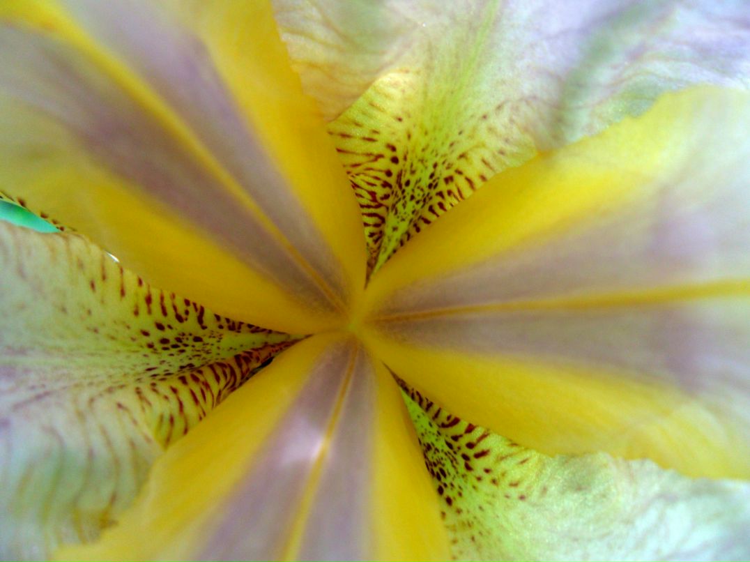 Наталья Мальцева фотография #8