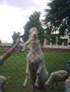 Ірина Sukretna фотография #39 (источник - https://vk.com/id134390740)