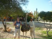 Фотография Кускова Андрюши