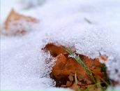 Фотография Кудряшовой Оли