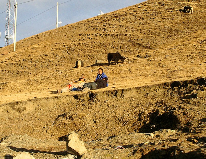 Дмитрий Стародубцев фотография #44