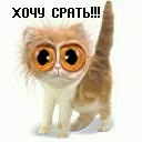 Фотография Ахмедьяновой Юлии