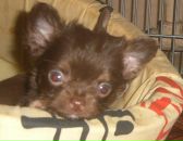 Фотография Креминой Марины