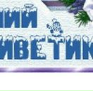 Анастасія Гудзак фотография #8 (источник - https://vk.com/id98965948)