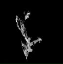 Фотография Утро Раннее