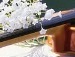 Артем Лоїк фотография #18 (источник - https://vk.com/id142011331)
