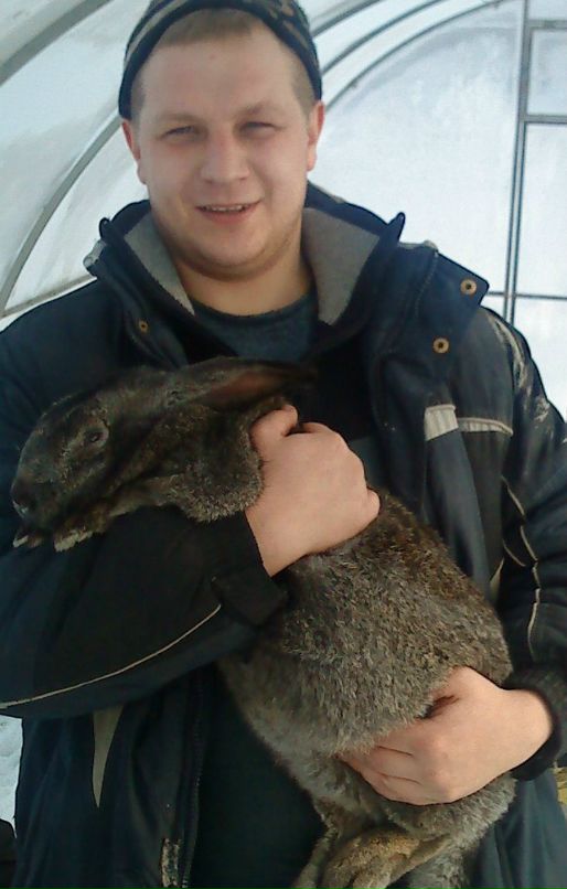 Александр Муравьёв фотография #8