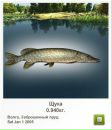 Сергій Коржан фотография #41 (источник - https://vk.com/id110134918)