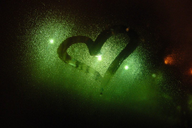 Дмитрий Олейников фотография #10