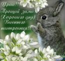 Іван Жердецький фотография #25 (источник - https://vk.com/id141119880)