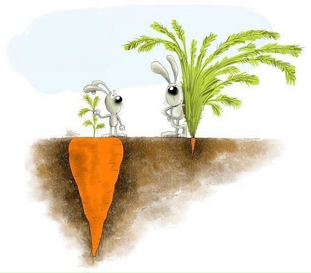 №5, Морковь Фишай, 1.10.1987 №5, Морковь Фишай, 1.10.1987