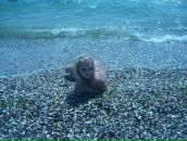 Женічька Грушецька фотография #47 (источник - https://vk.com/id99076463)