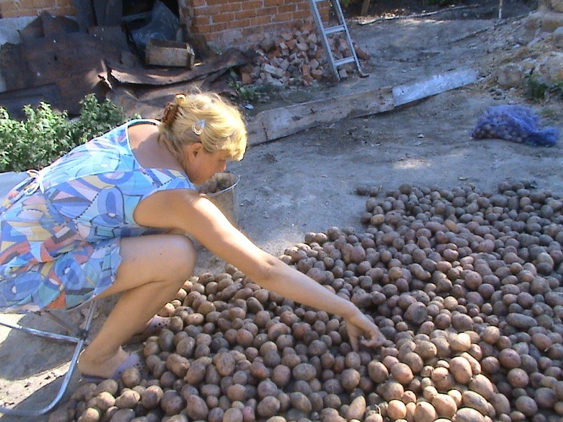 Виктор Степанко фотография #41