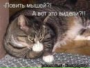 Ігор Бiлокопитий фотография #3 (источник - https://vk.com/id165561462)