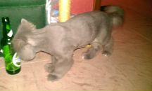 Фотография Кожушко Дениса