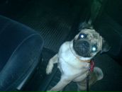 Георгій Стецюра фотография #10 (источник - https://vk.com/id16344004)