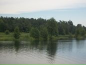 Ларіса Гриндій фотография #35 (источник - https://vk.com/id97759730)