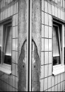 Фотография Чернявской Дарьи