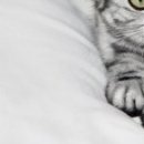 Наталія Олійник фотография #4 (источник - https://vk.com/id85387598)