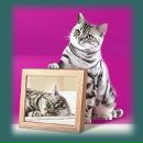 Фотография Синьковского Глеба