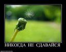 Міша Федорняк фотография #49 (источник - https://vk.com/id24695832)
