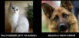 Chups Леоніде фотография #34 (источник - https://vk.com/id12383362)