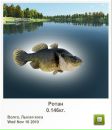 Вова Жовнір фотография #9 (источник - https://vk.com/id72387277)