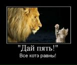 Андрій Поздняков фотография #12 (источник - https://vk.com/id68755192)
