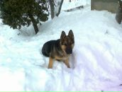 Саня Власенко фотография #47 (источник - https://vk.com/id72582244)