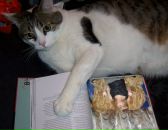 Аліна Тесля фотография #35 (источник - https://vk.com/id96165902)