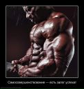Фотография Живая Олеся
