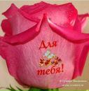 Αнтон Κонстантинов фотография #36 (источник - https://vk.com/id121278566)