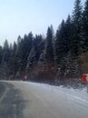 Юра Сокіл фотография #4 (источник - https://vk.com/id160774431)