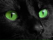 Фотография Кибирова Владимира