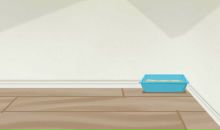 Віка Йосипів фотография #32 (источник - https://vk.com/id87356532)