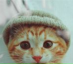 Фотография Присяжнюк Татьяны