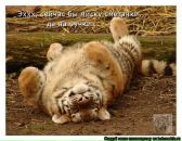 Фотография Волобоевой Лидии